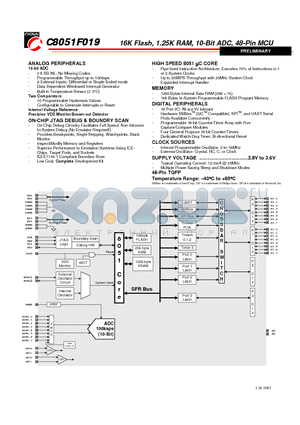 C8051F019 datasheet - 16K Flash, 1.25K RAM, 10-Bit ADC, 48-Pin MCU
