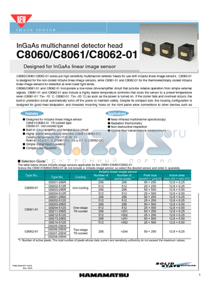 C8060 datasheet - InGaAs multichannel detector head