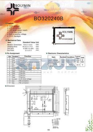 BO320240B datasheet - COG package LCD driver only