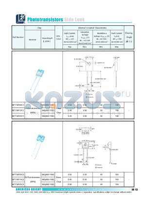 BPT-NP03C1 datasheet - BPT-NP13C1