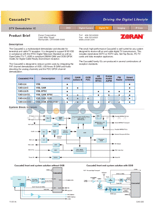 CAS-220/S datasheet - DTV Demodulator IC