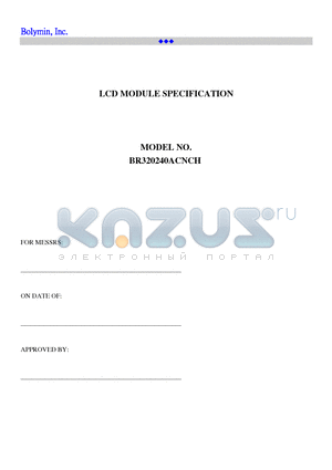 BR320240ACNCH datasheet - LCD MODULE SPECIFICATION