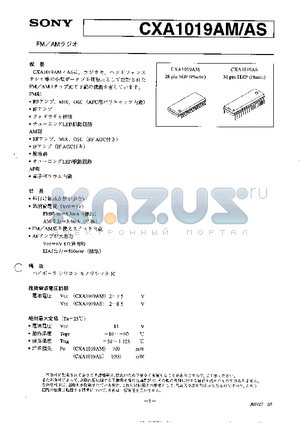 CXA1019AM datasheet - FM / AM