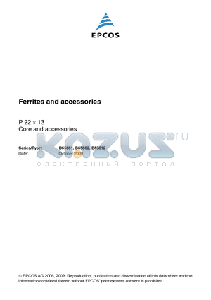 B65661-D1250-J48 datasheet - PM/P/P Cores Halves/EP/TT/PR Cores