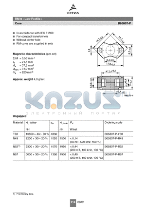 B65807-P-Y38 datasheet - RM cores are supplied in sets