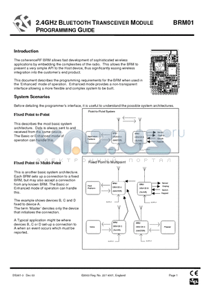 BRM01_03 datasheet - 2.4GHZ BLUETOOTH TRANSCEIVER MODULE PROGRAMMING GUIDE