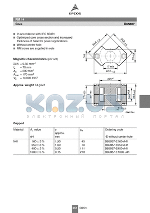 B65887 datasheet - RM 14 In accordance with IEC 60431