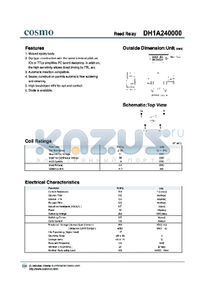 DH1A240000 datasheet - REED RELAY