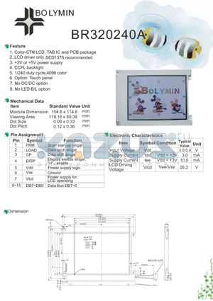 BR320240A datasheet - Color-STN LCD, TAB IC and PCB package