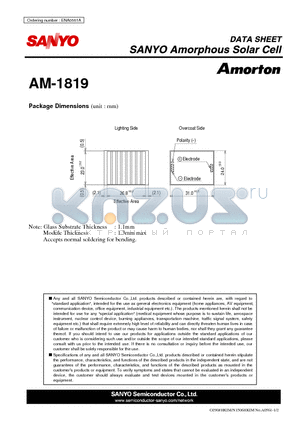 AM-1819 datasheet - Amorphous Solar Cell