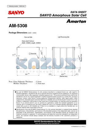 AM-5308 datasheet - Amorphous Solar Cell