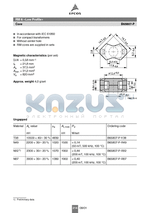 B65807-P datasheet - RM cores are supplied in sets