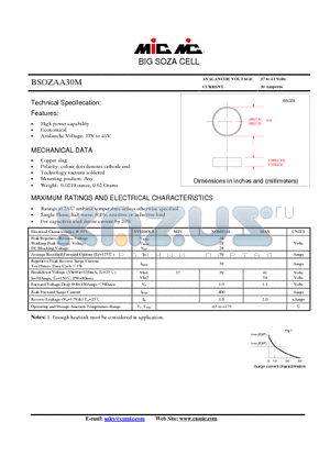 BSOZAA30M datasheet - BIG SOZA CELL