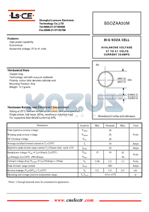 BSOZAA30M datasheet - BIG SOZA CELL