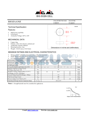 BSOZAA30Z datasheet - BIG SOZA CELL