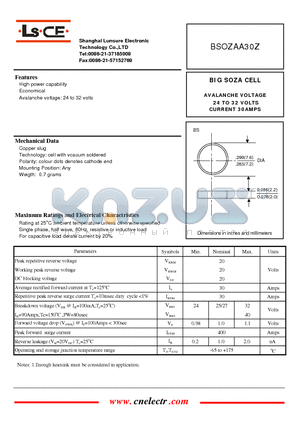 BSOZAA30Z datasheet - BIG SOZA CELL