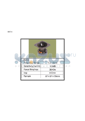 BST-6 datasheet - BST-6