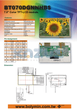 BT070DGNNHB datasheet - 7.0 Color TFT-LCD module