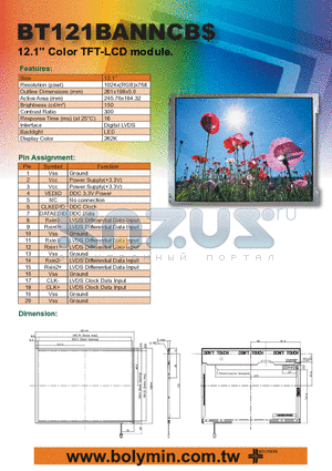 BT121BANNCB datasheet - 12.1 Color TFT-LCD module