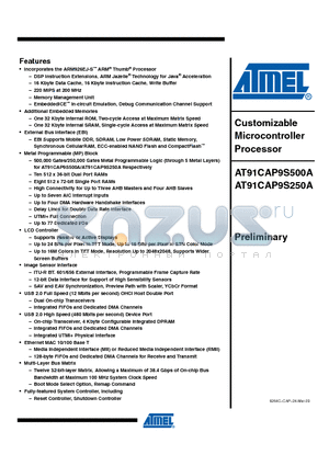 AT91CAP9S250A datasheet - Customizable Microcontroller Processor