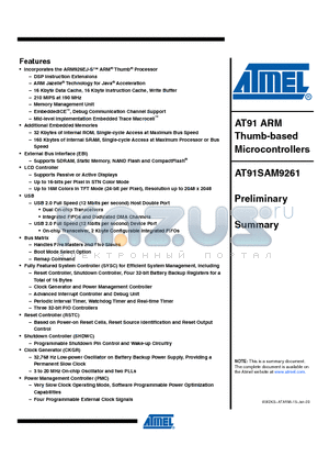 AT91SAM9261_09 datasheet - AT91 ARM Thumb-based Microcontrollers