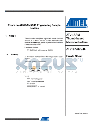 AT91SAM9G45_09 datasheet - AT91 ARM Thumb-based Microcontrollers