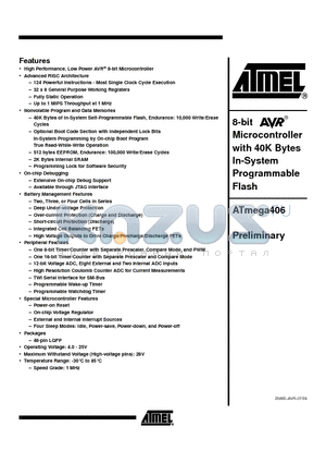 ATMEGA406_0607 datasheet - 8-bit Microcontroller with 40K Bytes In-System Programmable Flash