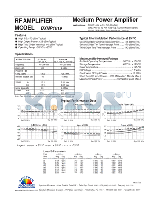 BXMP1019 datasheet - RF AMPLIFIER