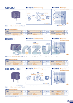 CB-09GP datasheet - Connection leads,,