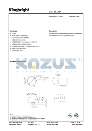 DLC-6SGD datasheet - 20mm BIG LAMP