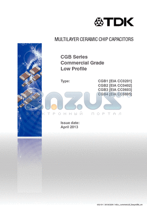 CC0402 datasheet - MULTILAYER CERAMIC CHIP CAPACITORS