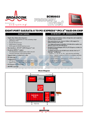 BCM1255 datasheet - EIGHT-PORT SAS/SATA-II TO PCI EXPRESS/PCI-X RAID-ON-CHIP