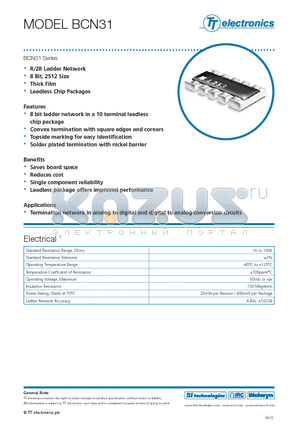 BCN31L datasheet - R/2R Ladder Network