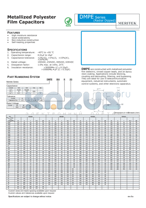 DMPE datasheet - Metallized Polyester Film Capacitors