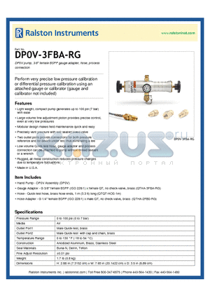 DP0V-3FBA-RG datasheet - DP0V pump