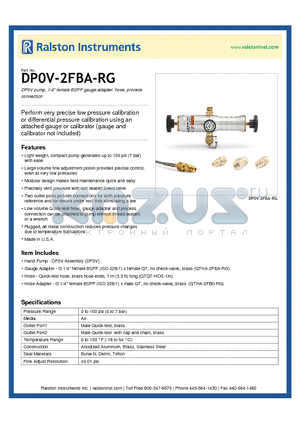 DP0V-2FBA-RG datasheet - DP0V pump