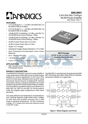 AWL6951RM22P0 datasheet - 2.4/5 GHz 802.11a/b/g/n WLAN Power Amplifier