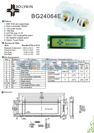 BG24064E datasheet - SMT PCB with metal frame Built in controller T6963C