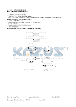 BH-TS130 datasheet - COMMON MODE CHOKE