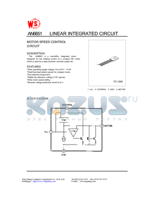 AN6651 datasheet - LINEAR INTEGRATED CIRCUIT