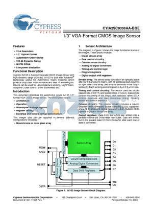 CYIA2SC0300AA-BQE datasheet - 1/3 VGA-Format CMOS Image Sensor