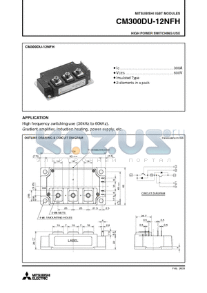 CM300DU-12NFH datasheet - IGBT MODULES HIGH POWER SWITCHING USE