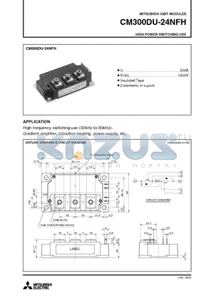 CM300DU-24NFH datasheet - IGBT MODULES HIGH POWER SWITCHING USE