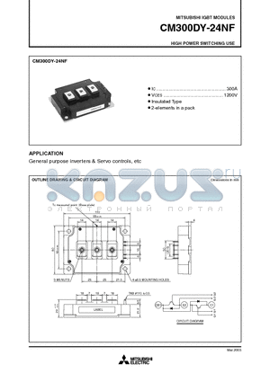CM300DY-24NF datasheet - HIGH POWER SWITCHING USE
