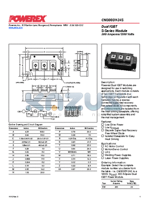 CM300DY-24S datasheet - Powerex Dual IGBT Modules are designed for use in switching applications.