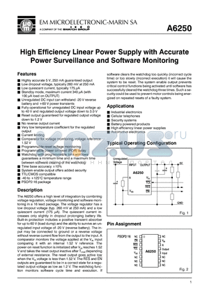 A6250X16W datasheet - High Efficiency Linear Power Supply with Accurate Power Surveillance and Software Monitoring