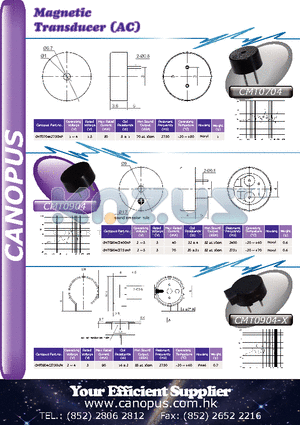 CMT0704 datasheet - Magnetic Transducer (AC)