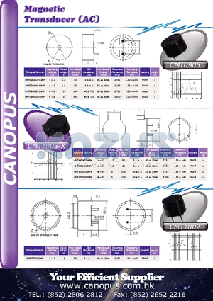 CMT0905E2731NP datasheet - Magnetic Transducer (AC)