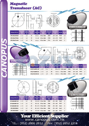 CMT1206-X datasheet - Magnetic Transducer (AC)