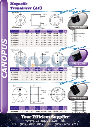 CMT1209E2200NP datasheet - Magnetic Transducer (AC)